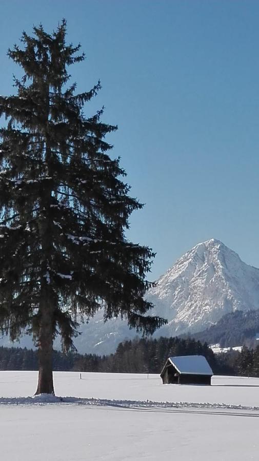 Tieschnhof Hotell Grobming Exteriör bild